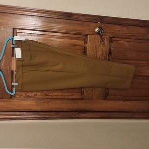 Ann Taylor Ankle Curvy Fit pant